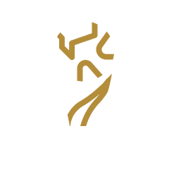 Icon of a worlds cup trophy