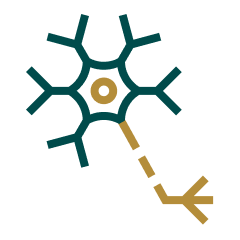 Icon of a brain neuron