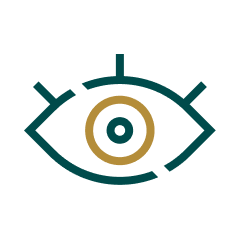 Icon of a human eye