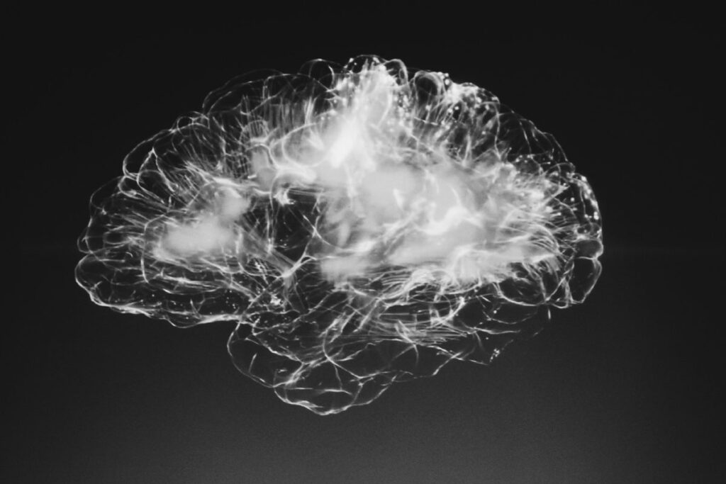 Image of a human brain in xray