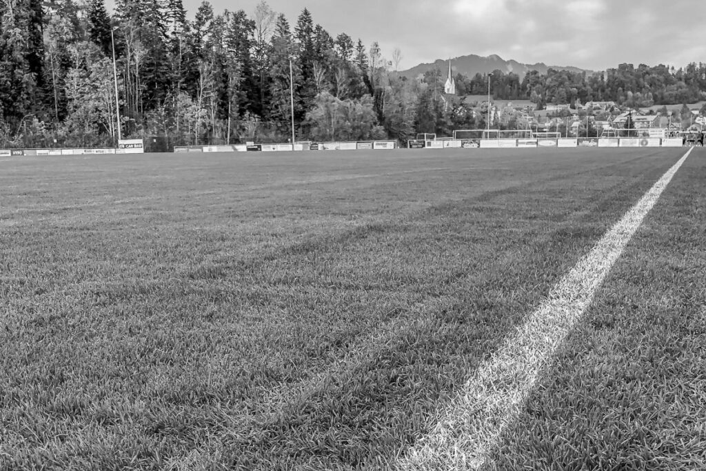 Image of a soccer field