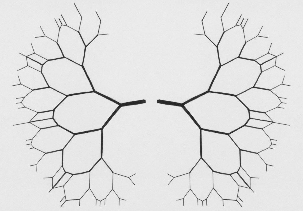 lungs sketch